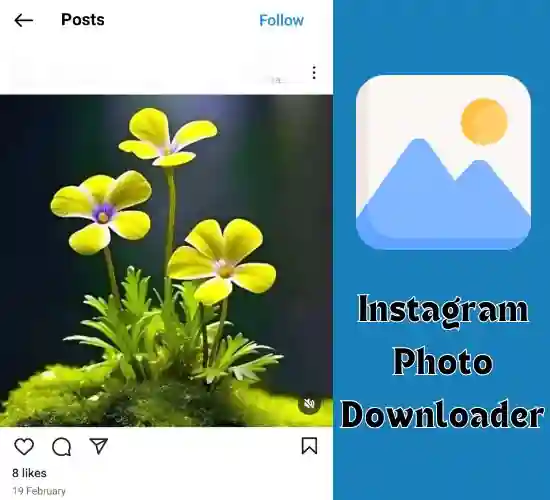 instavideosave photo downloader