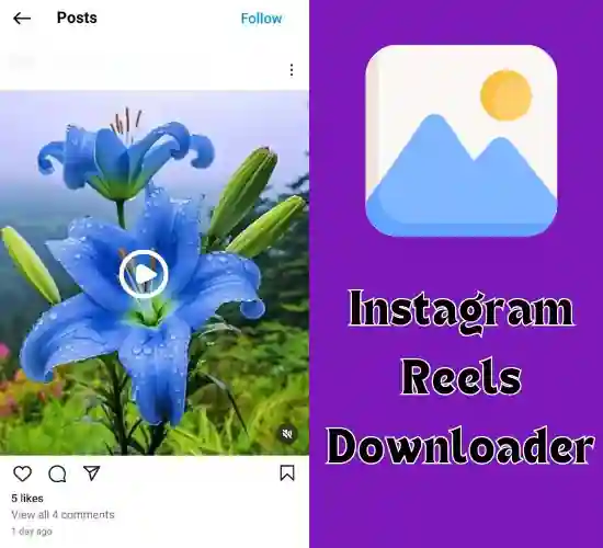 instavideosave reels downloader