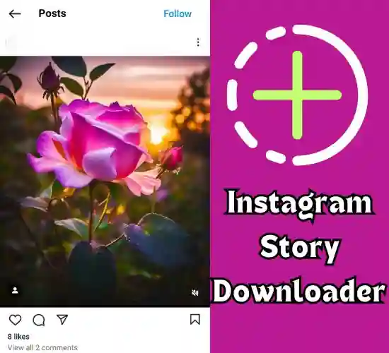 instavideosave story downloader